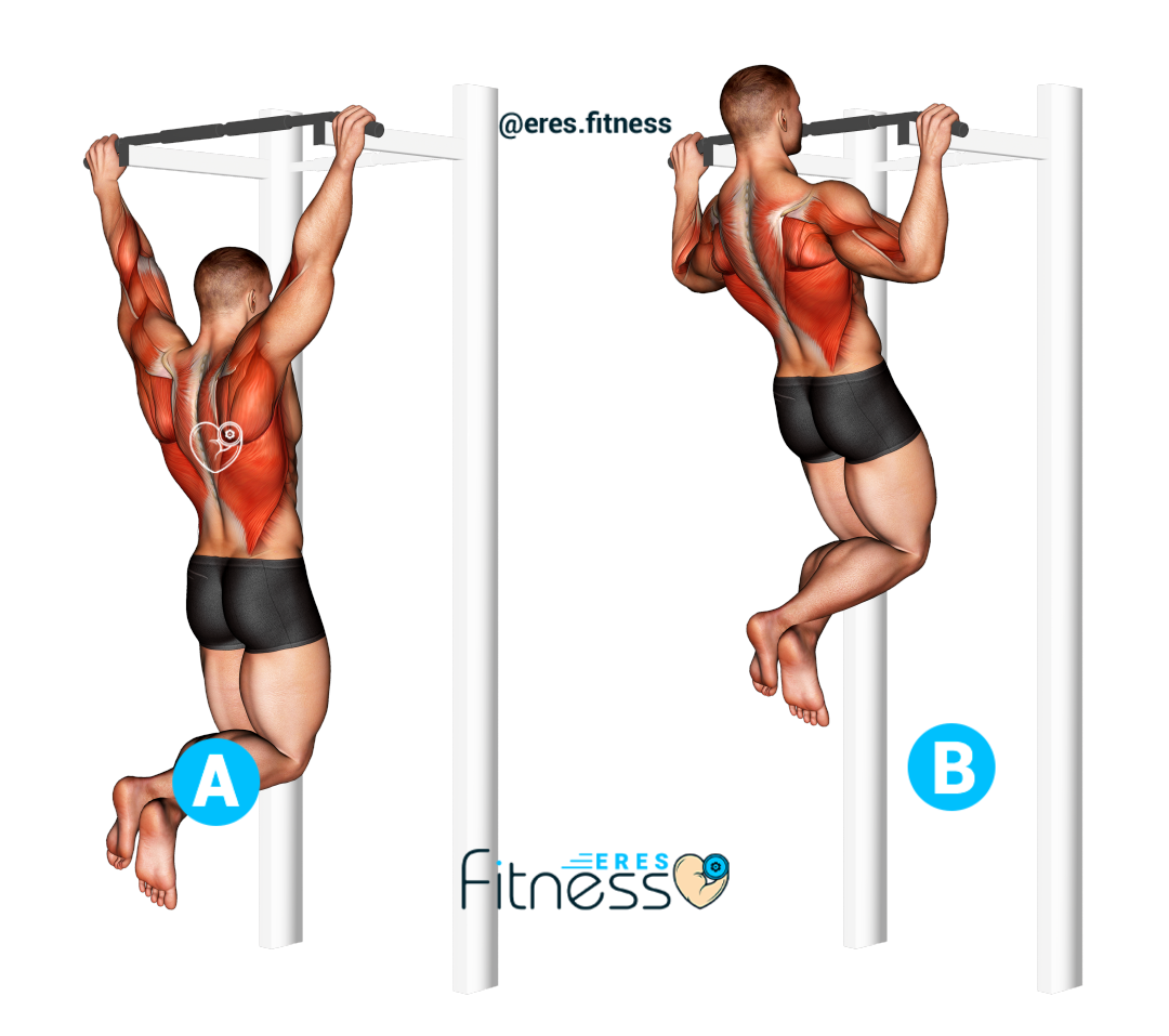 Pasted image 20260827005725.png